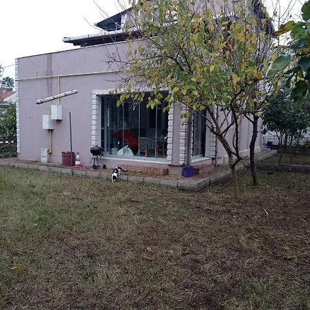 Koru Villa