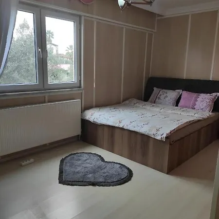 Koru * Gemlik